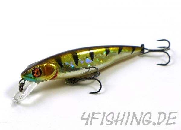 407 CB Crash HG Perch